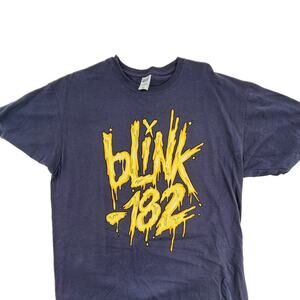 Vintage Blink 182 Shirt Men’s Size XL Anvil Brand Punk Rock Band Tee Blue